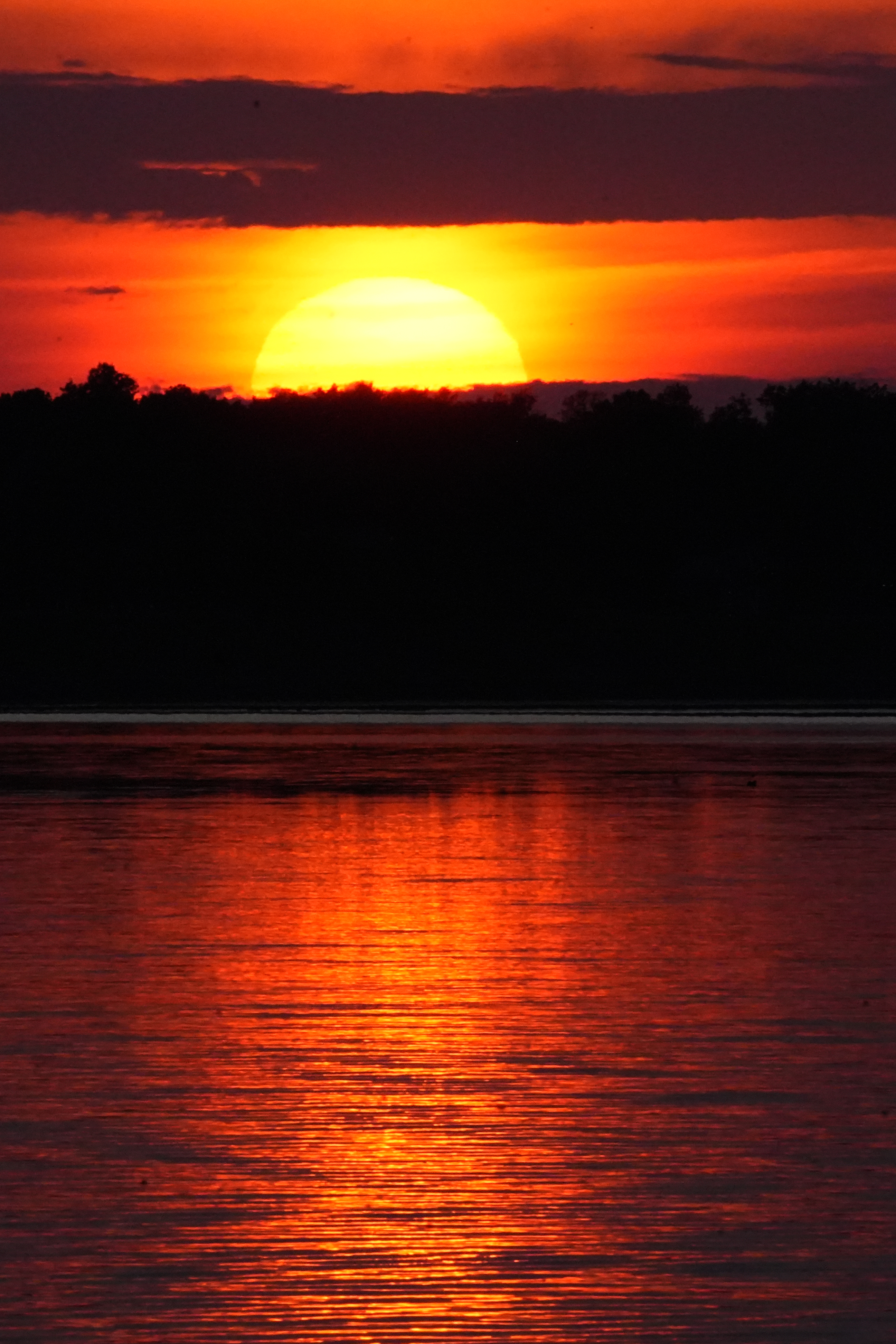 Necedah, WI