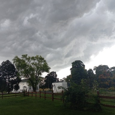 Just North of Elkhorn