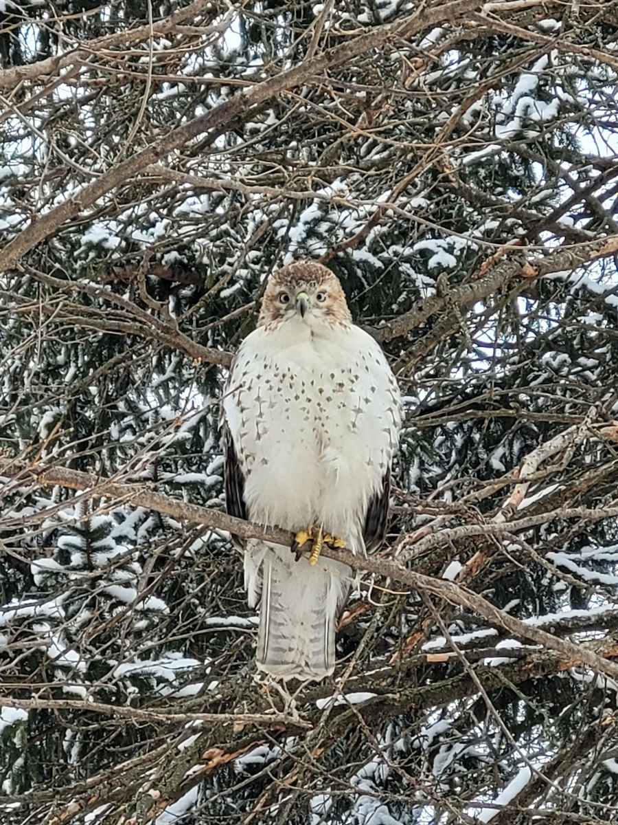 3000 w bottsford ave Greenfield wi 